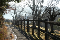 P1023295　散歩道