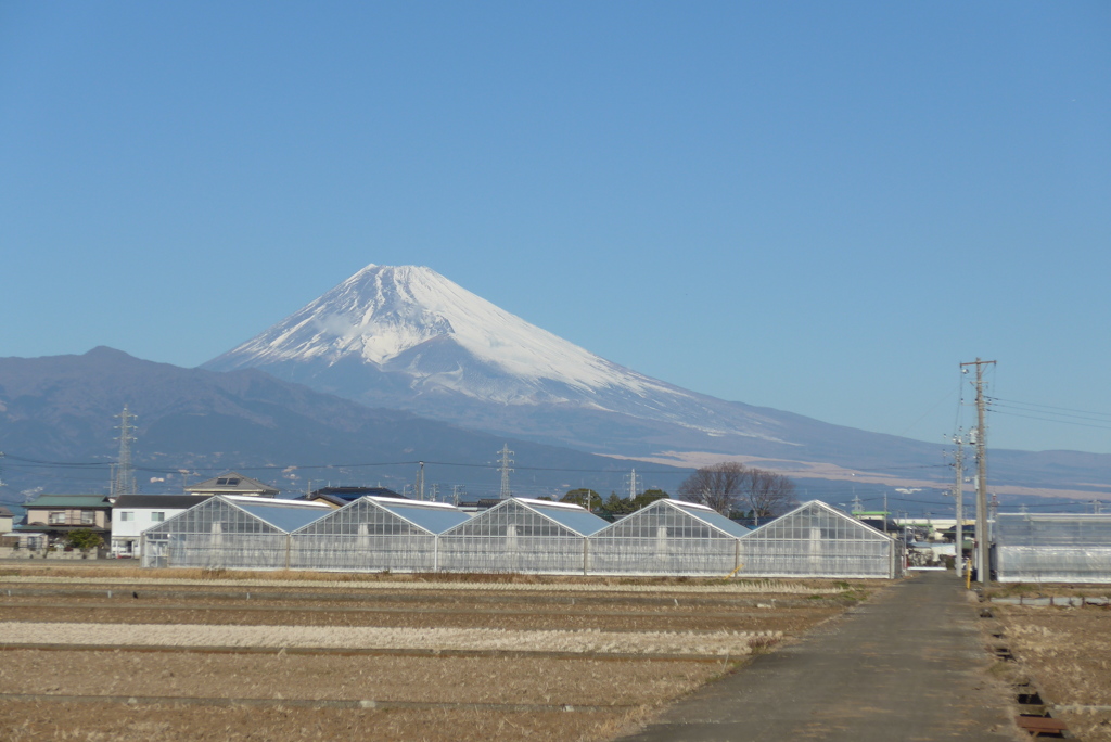 P1130386　1月18日 今日の富士山