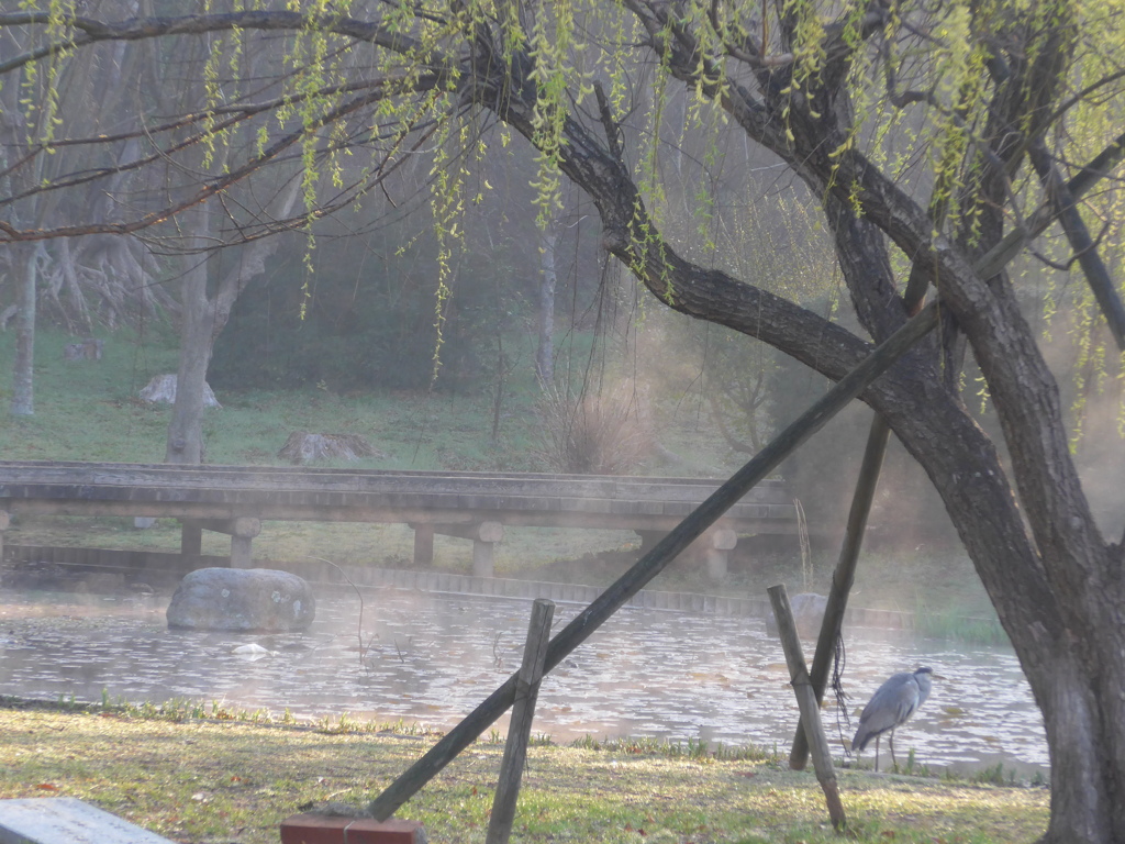 P1070741　朝の公園