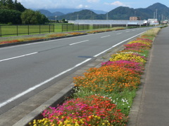 P1110525　花の咲く路