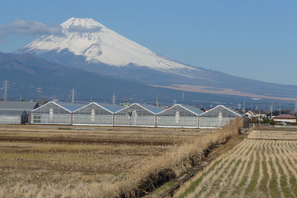 P1190650　1月6日 今日の富士山