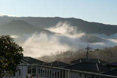 P1001043　ある雨上がりの朝に