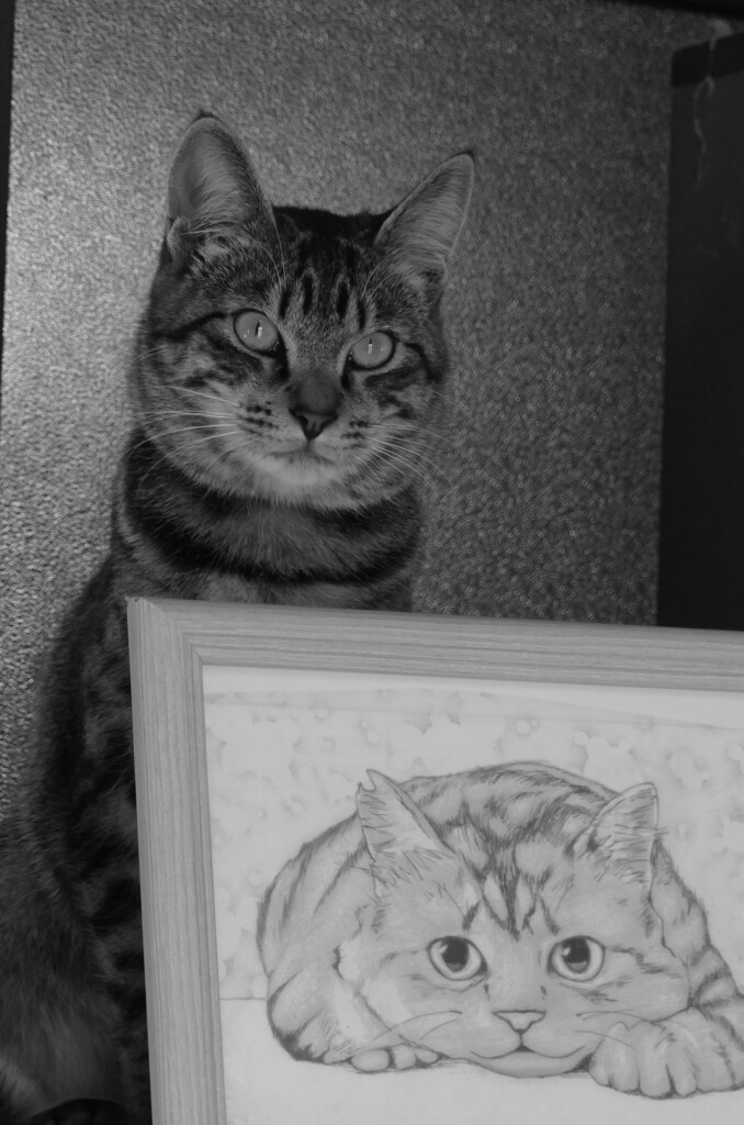 P1081063 (2)　どっちがかわいい～？