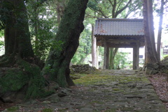 P1220385　初夏の高源寺四脚門