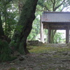 P1220385　初夏の高源寺四脚門