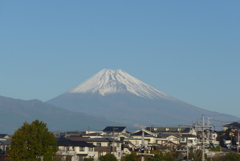 P1340577　11月22日 今朝の富士山