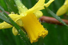 P1200551　雫の飾り