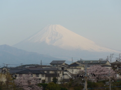 P1080155　４月１日 朝の富士山