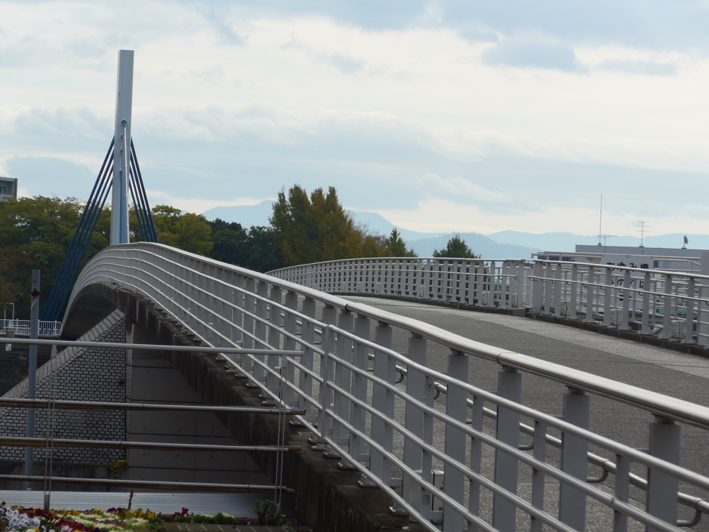 橋