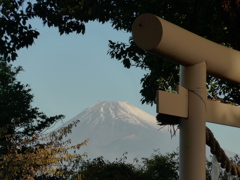 今朝の富士山