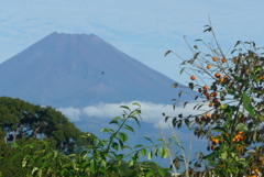 P1250070　10月12日 今朝の富士山