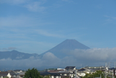 P1240513　9月4日 今朝の富士山