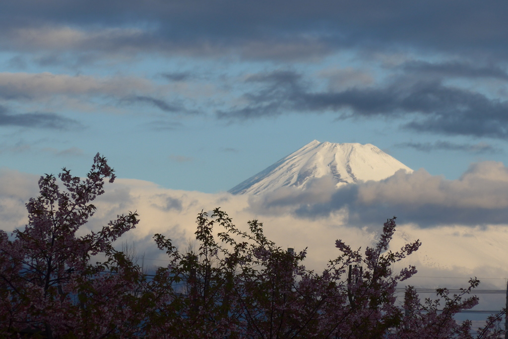 P1200581　2月28日 今朝の富士山