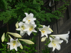 P1160190　集まれば…