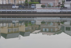 P1360574　静かな水面