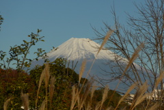 P1280855　12月2日 今朝の富士山