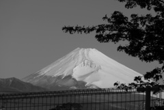 P1200739　3月9日 今朝の富士山