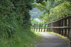P1390070　9月の散歩道