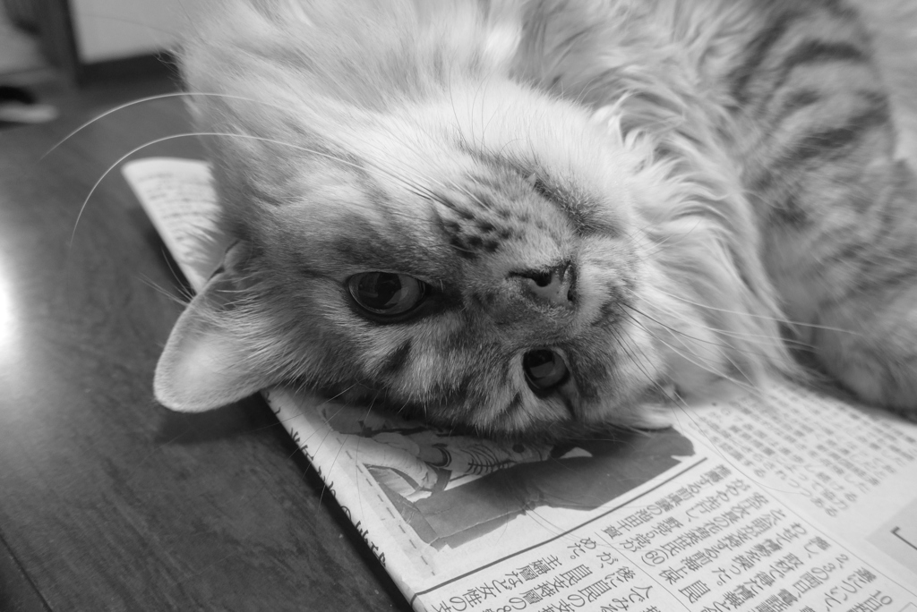 P1090919　あのね～♪