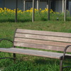 P1100670　ベンチ