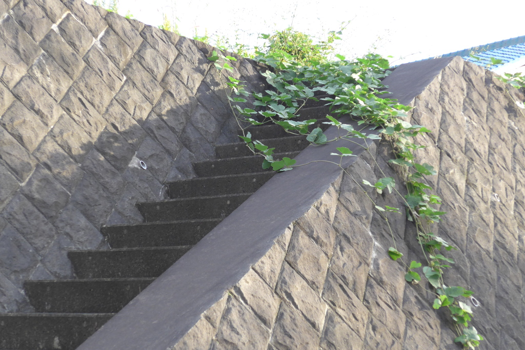 P1280582　通せんぼ