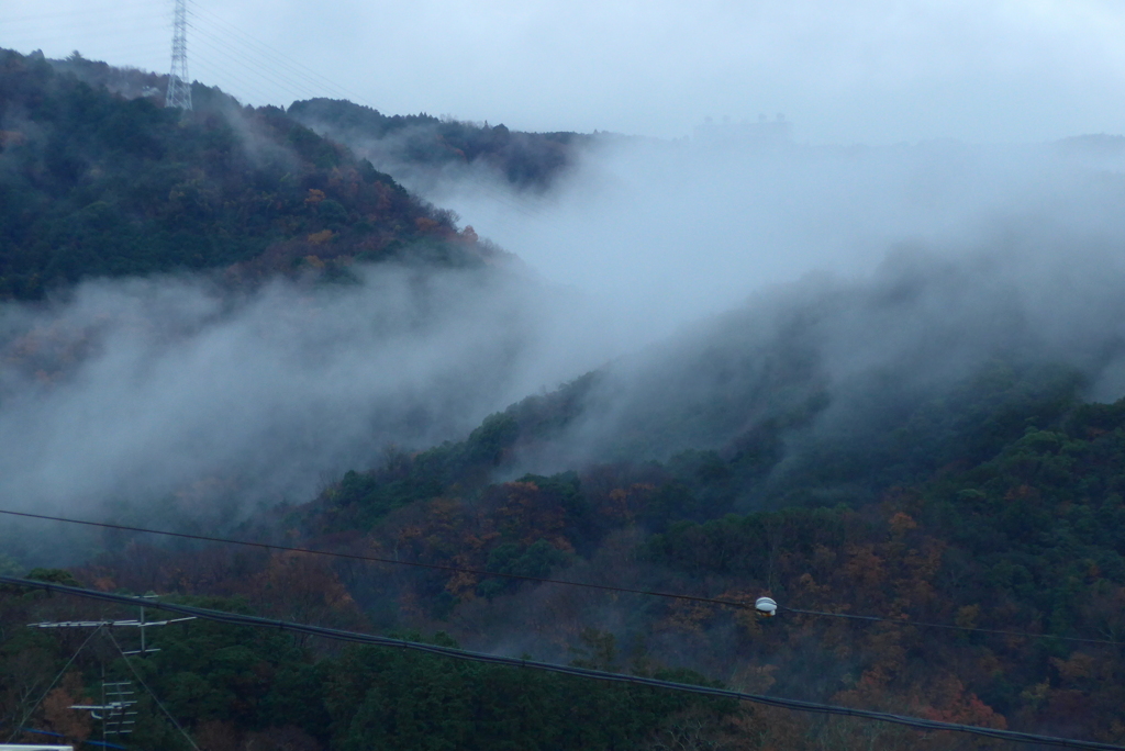 P1190519　雨上がりの朝