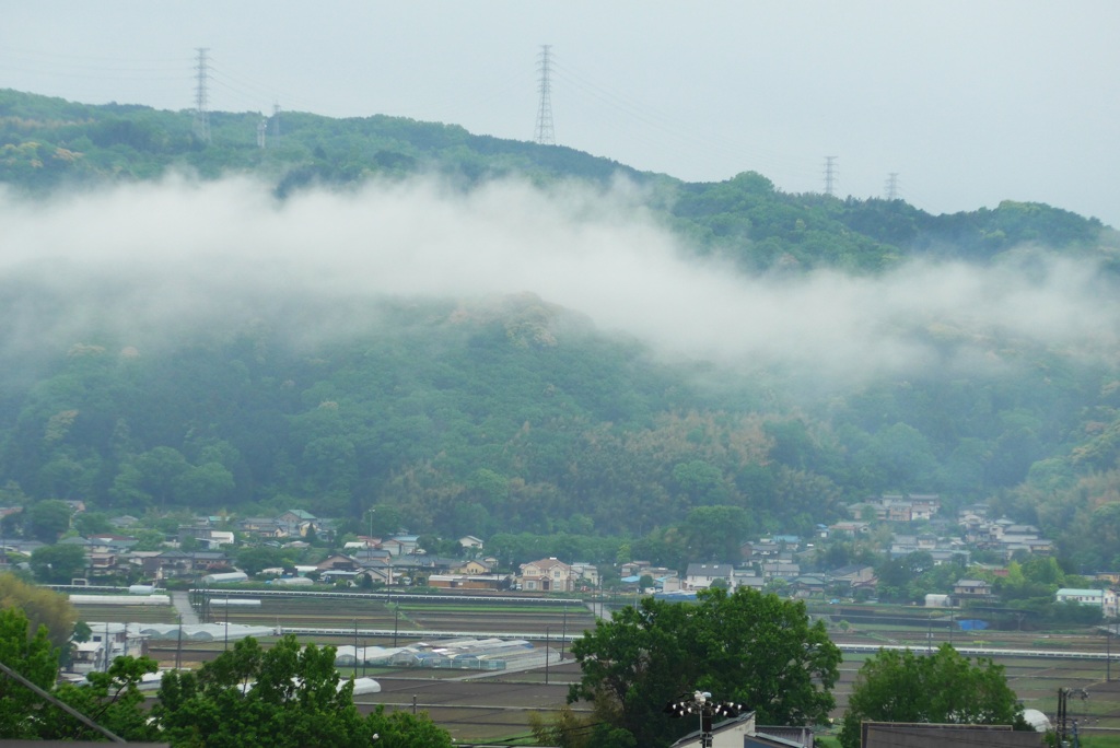 P1150306　雨上がりの風景