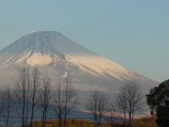 P1060904　１月15日 今朝の富士山