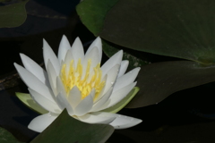 P1012297　いつもの公園で