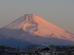 P1070285　２月14日 今朝の富士山