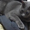 P1380860　くつろぐ