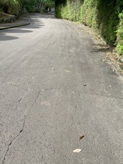 IMG_0205　道