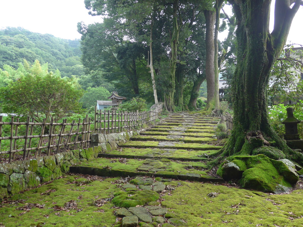 P1170046　伊豆 高源寺参道