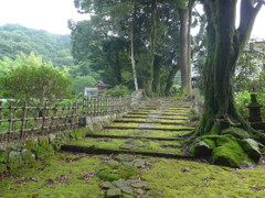 P1170046　伊豆 高源寺参道
