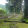 P1170046　伊豆 高源寺参道