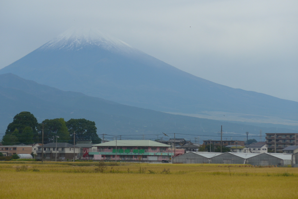 P1250177　10月19日 今朝の富士山