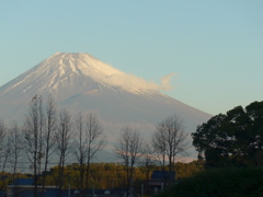 １１月１６日　朝の富士山