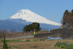 P1200208　2月11日 今日の富士山