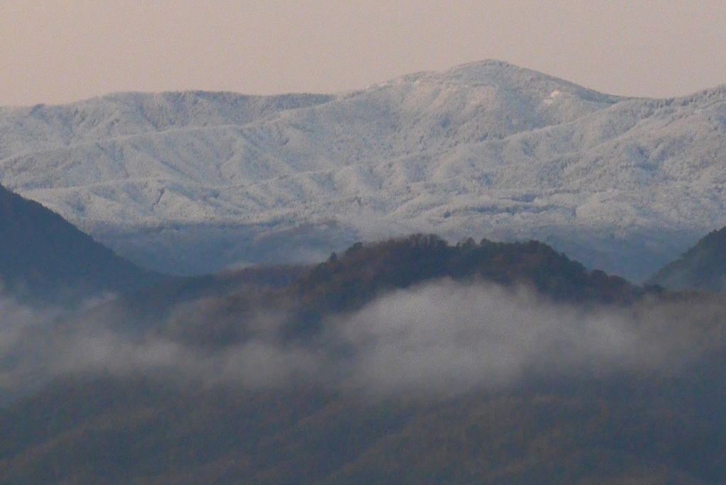 P1190764　寒い朝