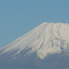 P1390423　1月14日 今朝の富士山