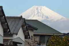 2月1日 今朝の富士山