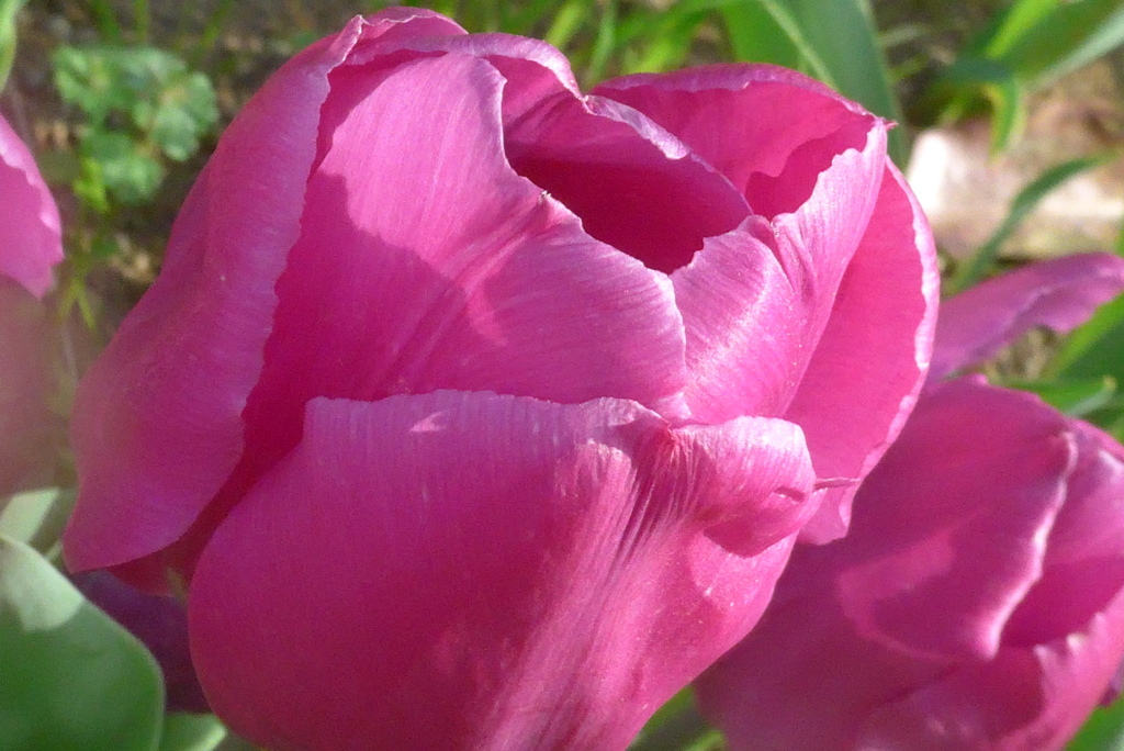 P1320542　歌いましょう～♪