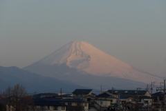 P1350244　3月16日 今朝の富士山 ほんのり紅富士