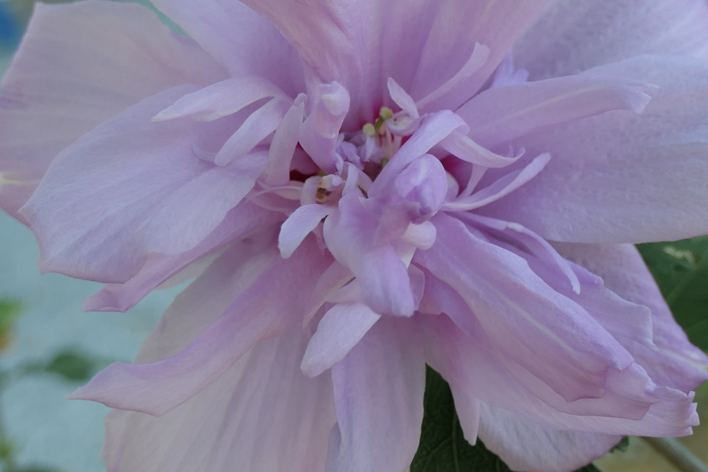 P1022715　いつもの公園で