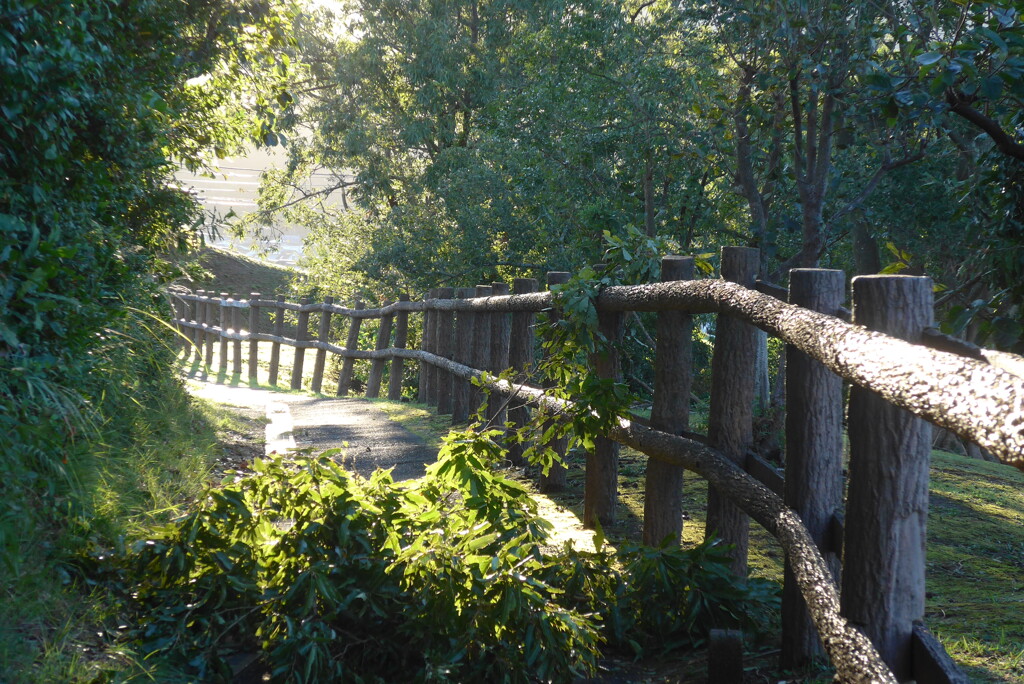 P1180560　嵐の跡