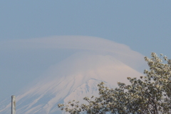 P1210411　4月4日 うっすら富士山と笠雲