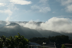 P1080800　ある朝の風景