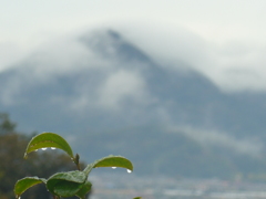 雨上がり