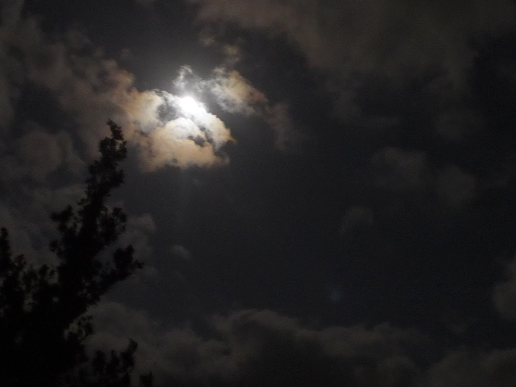 P1150788　今夜の月