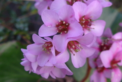P1200498　秘めた感情